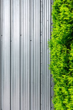 Garaj kapısı üzerinde yeşil üçte.