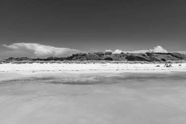 Cinquanta sfumature di bianco e nero sulle spiagge di Rosignano Solvay