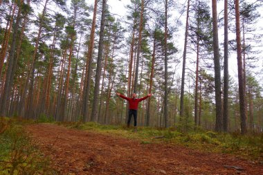 İz Lahemaa Milli Parkı'nda Tallinn yakınında bulunan hiking.