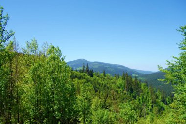 Beskydy dağlar sırasında Orta bahar, Çekya, Avrupa