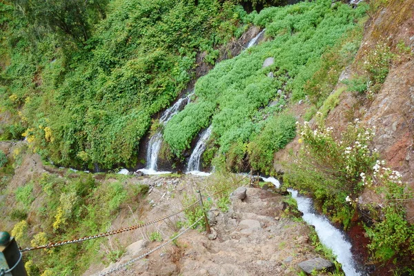 登山小径 导致瀑布隐藏在山上的山脉和劳雷尔森林的洛杉矶 Tilos 帕尔马 — 图库照片