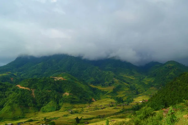 收获季节梯田稻田 Sappa 位于越南北部 — 图库照片