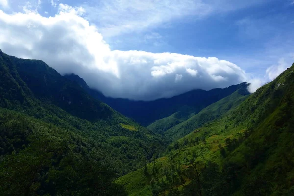 Campi Riso Terrazzati Nella Stagione Del Raccolto Muong Hoa Valley — Foto Stock