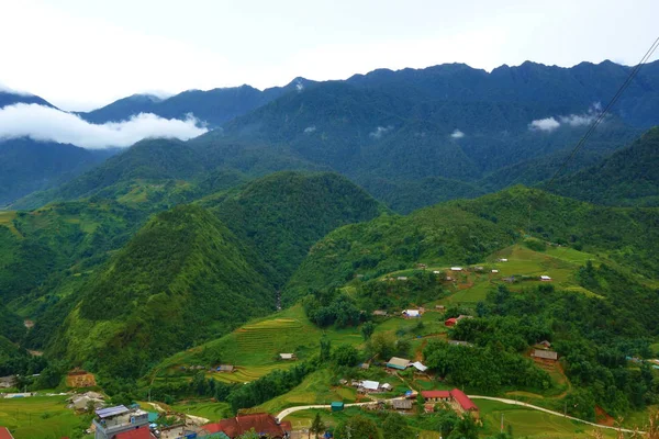 Terrasserade Risfält Skördesäsongen Muong Hoa Valley Sappa Ligger Norra Vietnam — Stockfoto