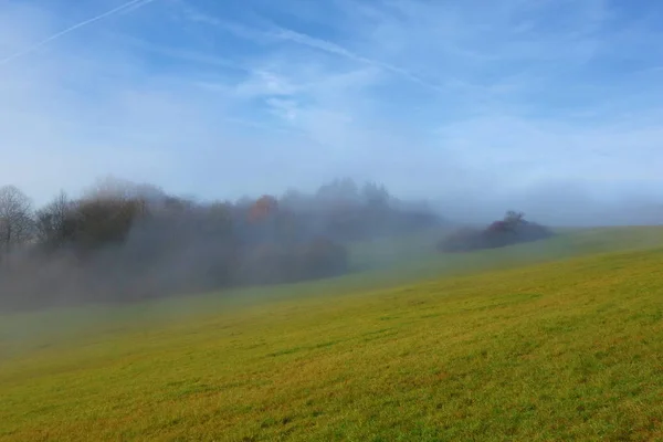 Dreamy Foggy Meadow Czech Republic Europe — Stock Photo, Image