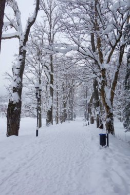 Polonya, Tatry kış aylarında Kuznice parkta