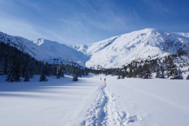 Dağ yürüyüş izi Hala Kondratowa Kopa Kondracka Polonya bulunuyor