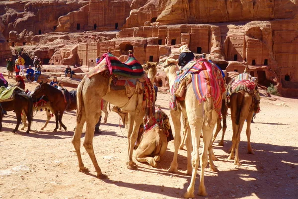 Ancienne Ville Rocheuse Abandonnée Petra Jordanie Comme Une Attraction Touristique — Photo