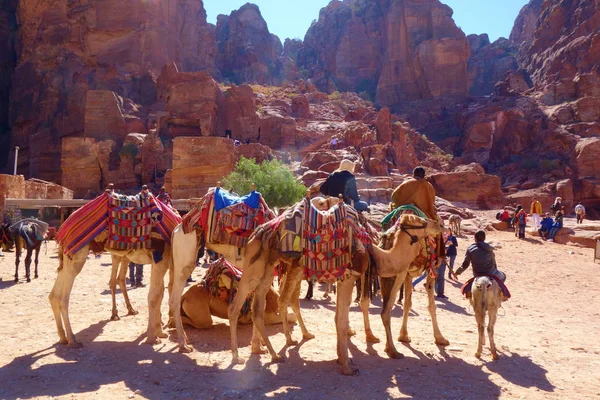 Antigua Ciudad Rocosa Abandonada Petra Jordania Como Atracción Turística Situada — Foto de Stock