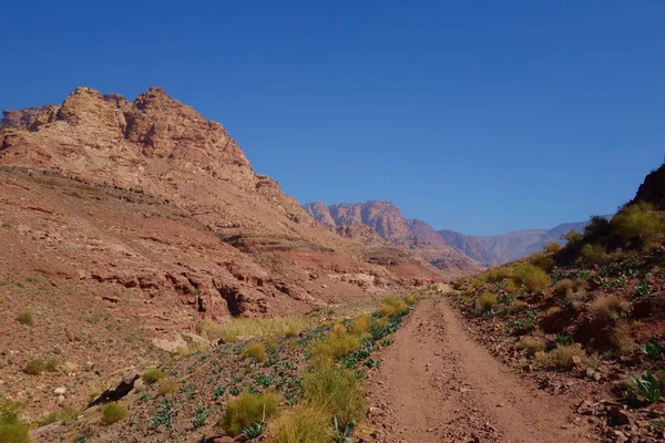 Krajobraz Natura Dana Biosfery Znajduje Się Jordanii — Zdjęcie stockowe