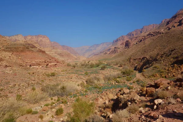 Krajobraz Natura Dana Biosfery Znajduje Się Jordanii — Zdjęcie stockowe