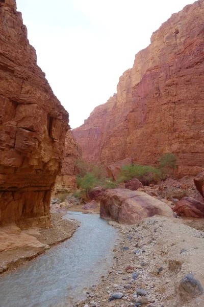 Cañón Wadi Zarqa Situado Jordania Cerca Del Mar Muerto — Foto de Stock