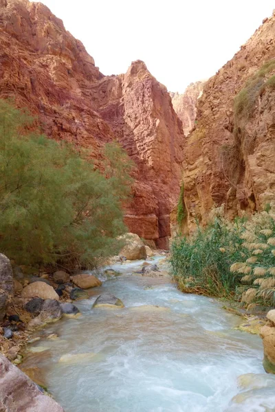 Wadi Zarqa Canyon Jordanien Der Nähe Des Toten Meeres — Stockfoto