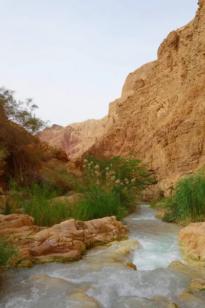 Wadi Canyon Ζάρκα Βρίσκεται Στην Ιορδανία Κοντά Στη Νεκρά Θάλασσα — Φωτογραφία Αρχείου
