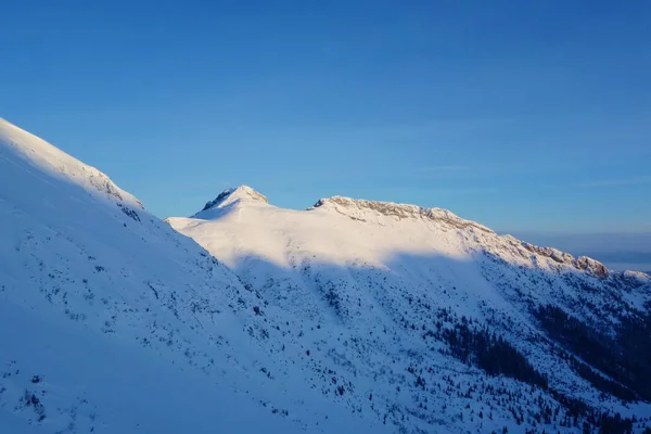 Sentiero Escursionistico Montagna Hala Kondratowa Kopa Kondracka Polonia — Foto Stock