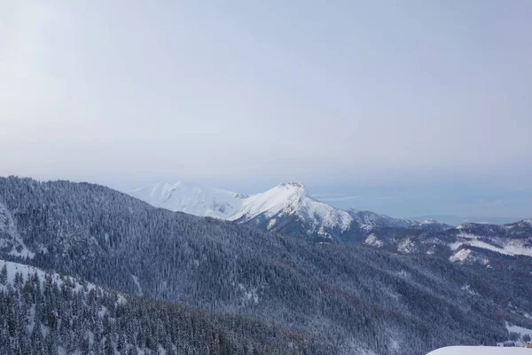 Trilha Caminhadas Montanha Kuznice Hala Gasienicowa Durante Inverno Localizado Polônia — Fotografia de Stock