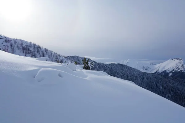 Dağ Yürüyüş Izi Kuznice Hala Gasienicowa Için Polonya Bulunan Kış — Stok fotoğraf