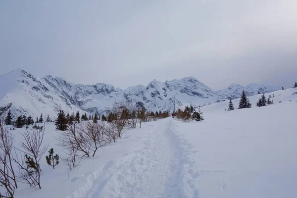 Dağ Yürüyüş Izi Kuznice Hala Gasienicowa Için Polonya Bulunan Kış — Stok fotoğraf
