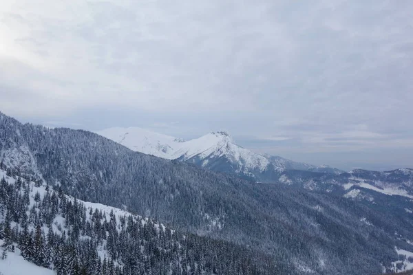 Trilha Caminhadas Montanha Kuznice Hala Gasienicowa Durante Inverno Localizado Polônia — Fotografia de Stock