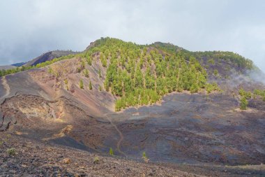 Manzara hiking Trail Gr131 Ruta de los Volcanes La Palma Adası, İspanya.
