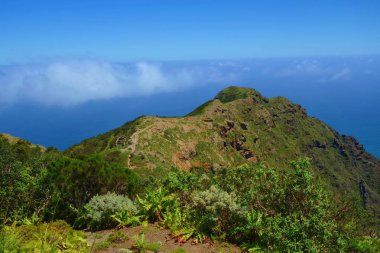 Anaga dağ ve vadi manzaralı Mirador El Bailadero Faro de Anaga ve Roque Bermejo, Tenerife Adası, İspanya, Europe Dan Panorama görünümünü