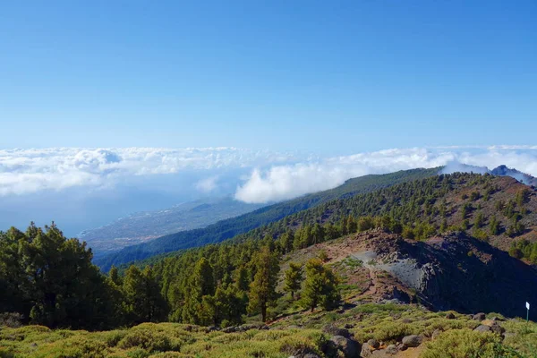 Пейзаж Туристической Тропы Gr131 Ruta Los Volcanes Palma Island Spain — стоковое фото
