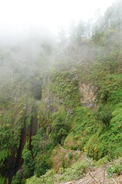 远足小径 导致瀑布隐藏在山上的山脉和劳雷尔森林的洛杉矶 Tilos 自然保护区称为 Naciente 马科斯和 Corderos 帕尔马 加那利 — 图库照片