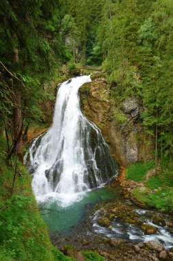 Gollinger şelale güzel manzaraya / Waserfall sırasında yaz, Golling, Salzburger arazi, Avusturya, Europe