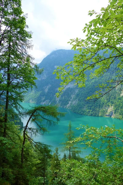 Impresionantes Aguas Coloridas Konigsee Conocido Como Lago Más Profundo Limpio —  Fotos de Stock