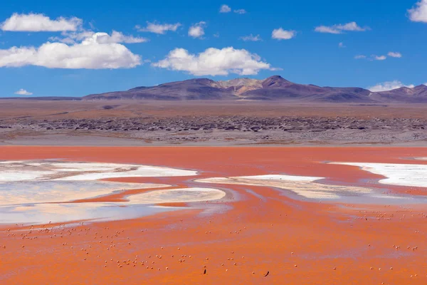 Bolivia Laguna Colorada Scenic Landscape Flamingos Lake — Stock Photo, Image