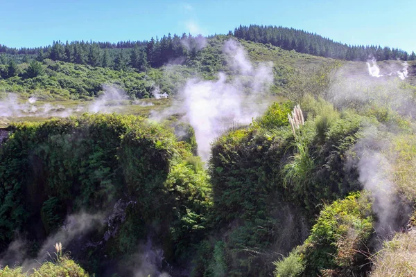 Neuseeland Nordinsel Bay Plenty Rotorua Wai Tapu Thermal Wonderland Thermal — Stockfoto