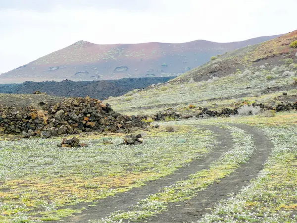 Spanien Kanarieöarna Tinajo Brand Bergen Nationalparken Timanfaya — Stockfoto