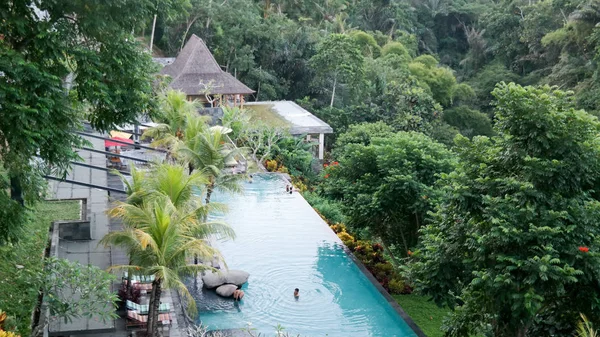 Indonezja Bali Kabedaten Gianyar Jungle Fish — Zdjęcie stockowe