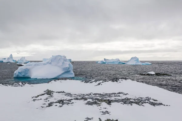 Живописный Вид Льды Воде Антарктиды — стоковое фото