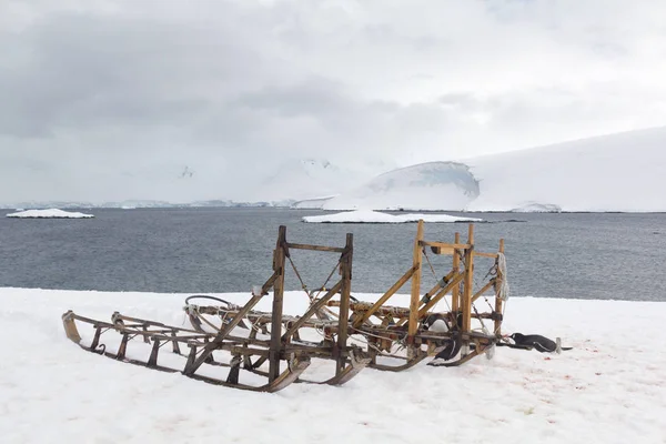 南极洲 企鹅躺在冰湾的雪橇旁 — 图库照片