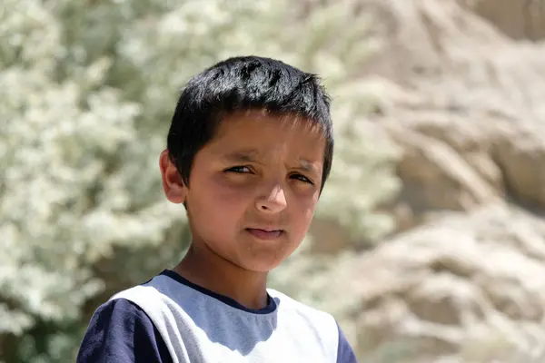 Retrato Niño Rural Mirando Cámara Calle Tayikistán — Foto de Stock