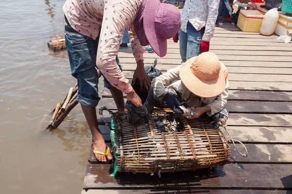Cambodge Kep Pêcheurs Vendant Des Crabes Marché — Photo
