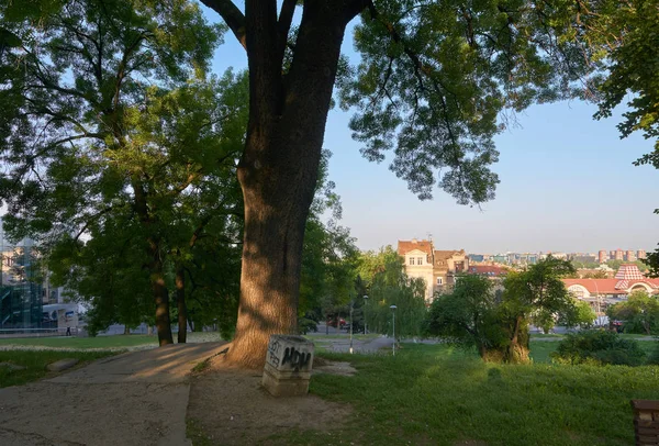 Belgrade Servië Mei 2018 Uitzicht Ochtend Stad Van Terazijska Terasa — Stockfoto