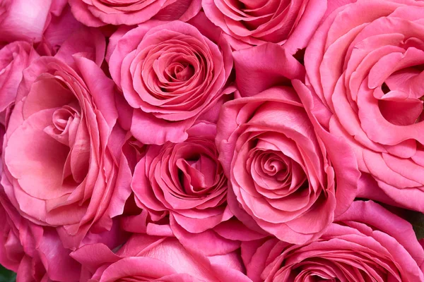美しい花の背景としてピンクのバラの花束 ストックフォト
