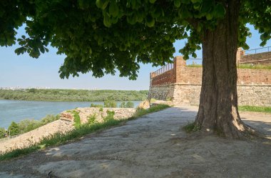 Altında belgili tanımlık saye-Belgrad Kalesi kestane ağacı. Tuna nehrinin sol tarafta nedir