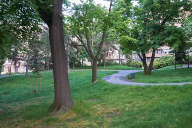 İlkbaharda eski park merkezi Belgrad yakınındaki Tadeusa Koscuska street, Sırbistan