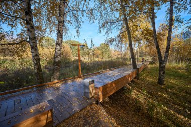 Sonbaharda, Babushkinskiy district, Moskova Yauza Nehri yakınında Park ahşap geçit insanlar yürü