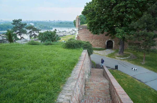 Belgrado Serbia Maggio 2018 Anziano Cammina Con Cane Nella Fortezza — Foto Stock