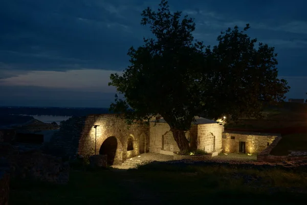 Parte Illuminata Della Fortezza Belgrado Con Grande Vecchio Albero Notte — Foto Stock