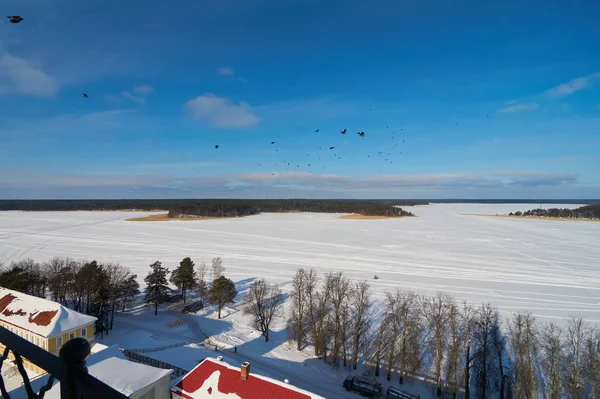 Luftaufnahme Vom Glockenturm Der Epiphaniakathedrale Russisch Orthodoxen Kloster Nilo Stolobenskaya — Stockfoto