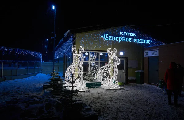 Moskou Rusland Januari 2019 Toegang Tot Nieuwe Schaatsen Ring Nachts — Stockfoto