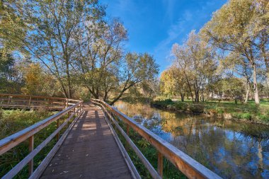 Sonbaharda, Babushkinskiy district, Moskova Yauza Nehri yakınında Park ahşap geçit iki kişi yürü