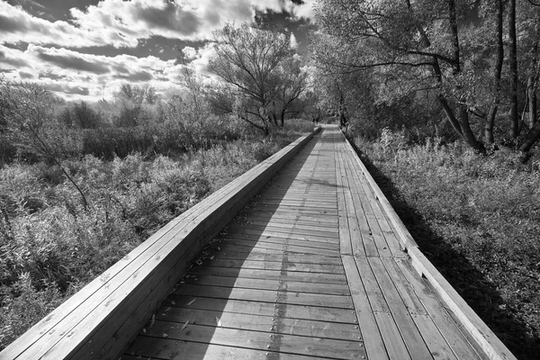 Imagen Blanco Negro Pasarela Madera Cerca Del Río Yauza Moscú —  Fotos de Stock