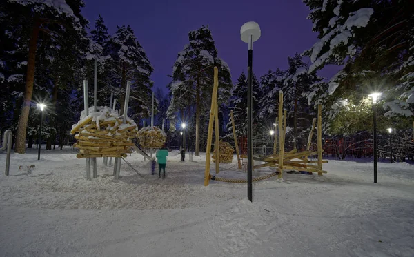 Wgląd Nocy Zimowych Zabaw Parku Pestovskiy Zheleznodorozhniy Moscow Oblast Regionu — Zdjęcie stockowe