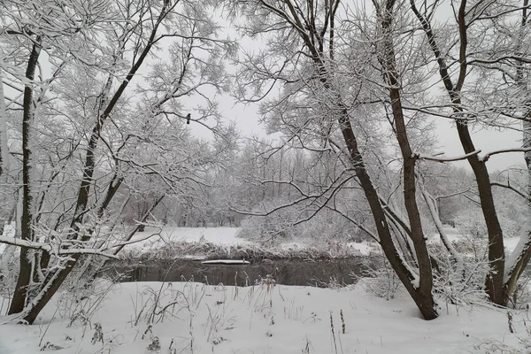 Winterlandschaft Mit Krähen Der Nähe Des Flusses Jauza Bezirk Babuschkinskij — Stockfoto